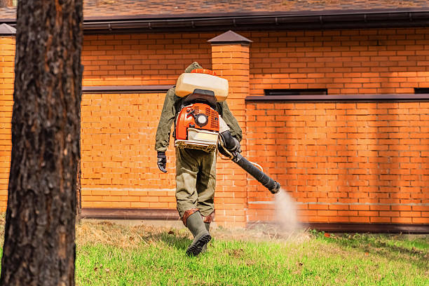 Trusted Cockroach Control service in Hopwood, PA - Nex Pest Control